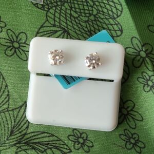Elegant Silver Stud Earrings